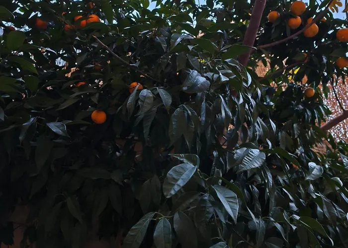 Bed & Breakfast Casavostra 2 Rome